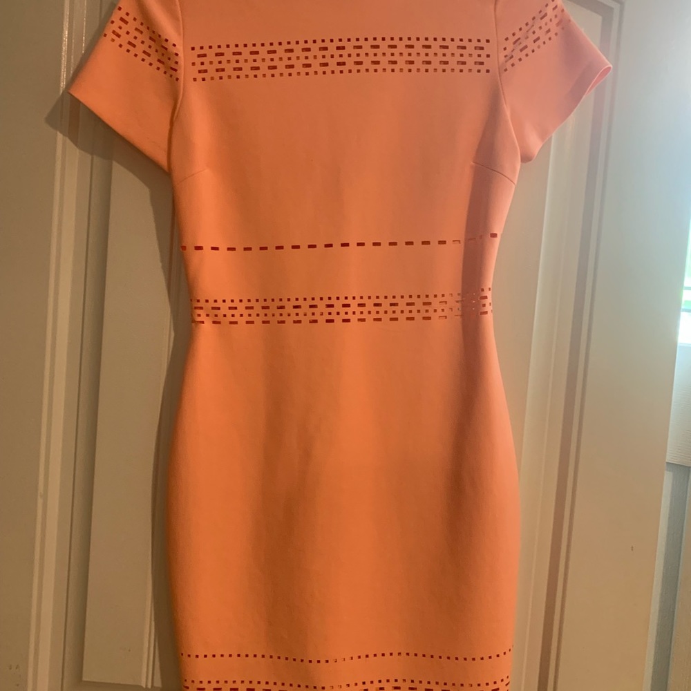 Elizabeth and James neon dress